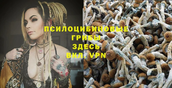 прущая мука Дмитров