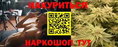 скорость Новозыбков