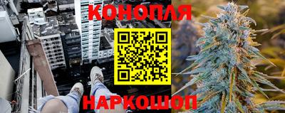 бошки Новокубанск