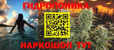 скорость Новодвинск