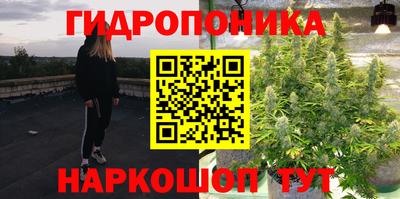 бошки Новокубанск