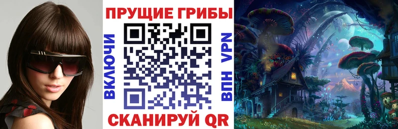 где можно купить Дятьково мега ССЫЛКА Псилоцибиновые грибы прущие грибы