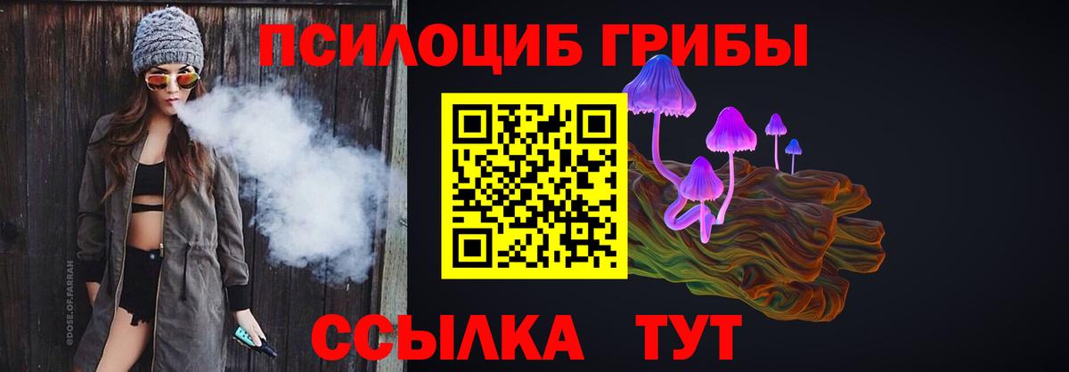 Псилоцибиновые грибы Cubensis  Вход с VPN  Дятьково  дарнет шоп  Псилоцибиновые грибы мицелий 