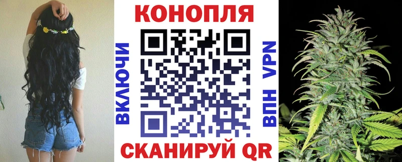 OMG вход  Дятьково  Канабис VHQ 